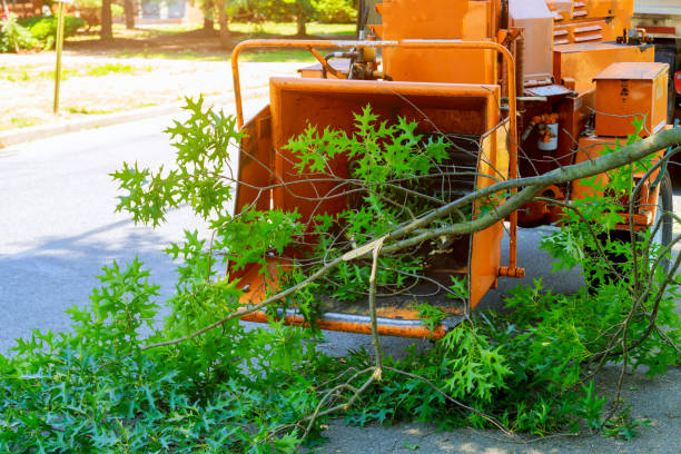 Best Soil Testing and Treatment  in Bethany, WV